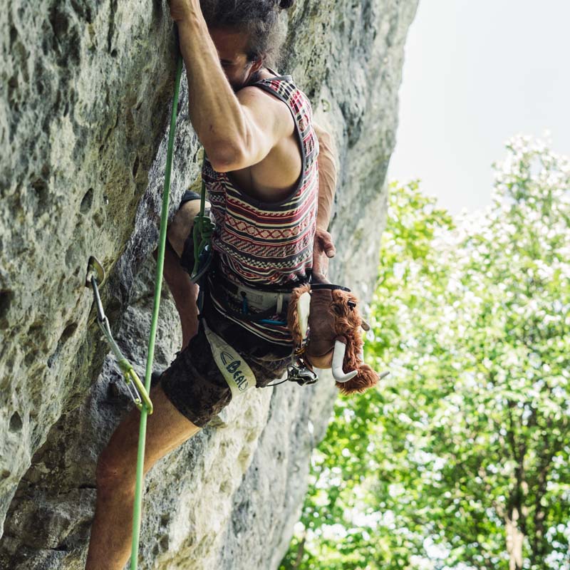 What are the best climbing brands in 2025 and why