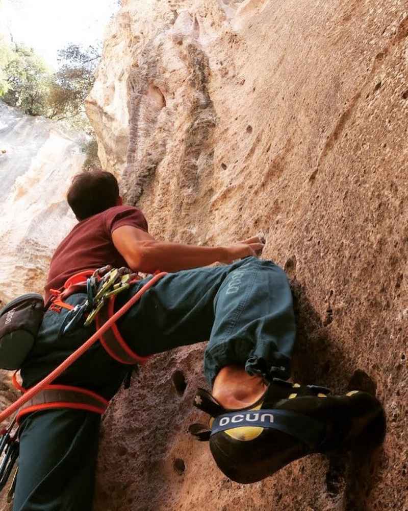 What are the best climbing brands in 2025 and why